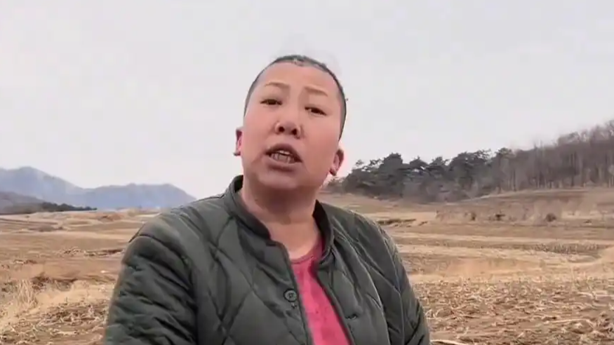 东北雨姐拟3500万出售电商孵化基地热搜配图