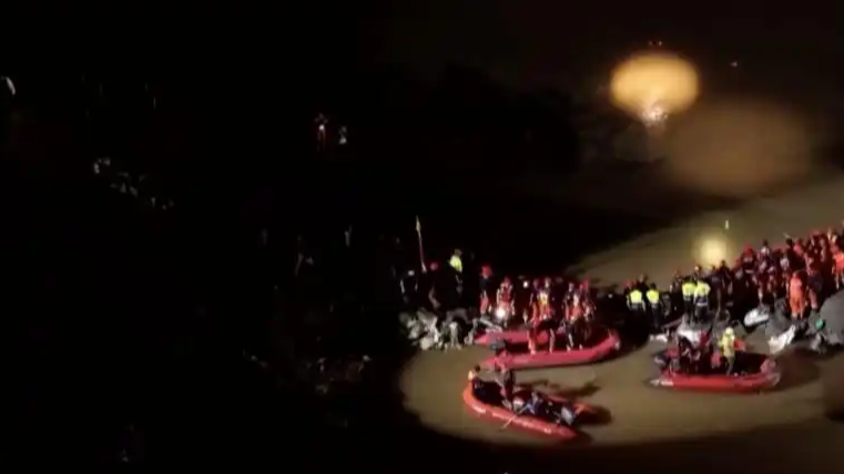 白海豚真的走了吗热搜配图