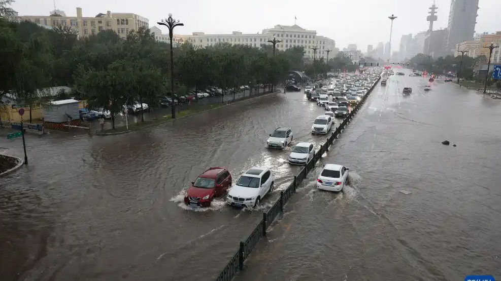 哈尔滨暴雨市民用桨板运送被困路人热搜配图